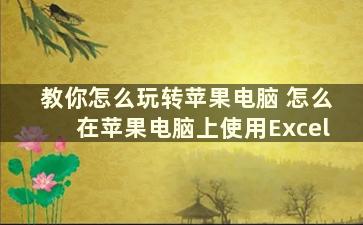 教你怎么玩转苹果电脑 怎么在苹果电脑上使用Excel